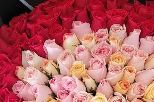 Ramos de rosas cumpleaños