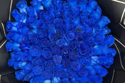 Ramos de rosas azules