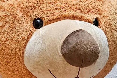 Ramos de rosas con peluche